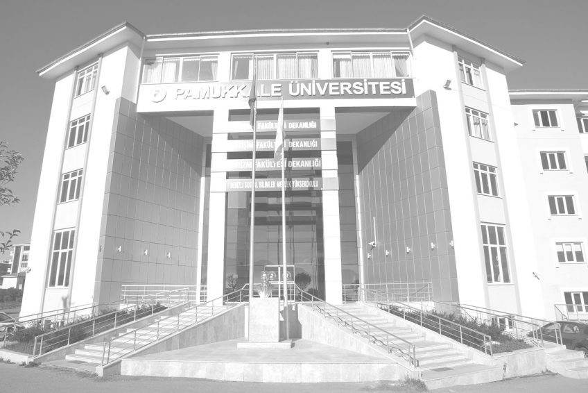 pamukkale universitesi sosyal bilimler enstitusu ne nerede